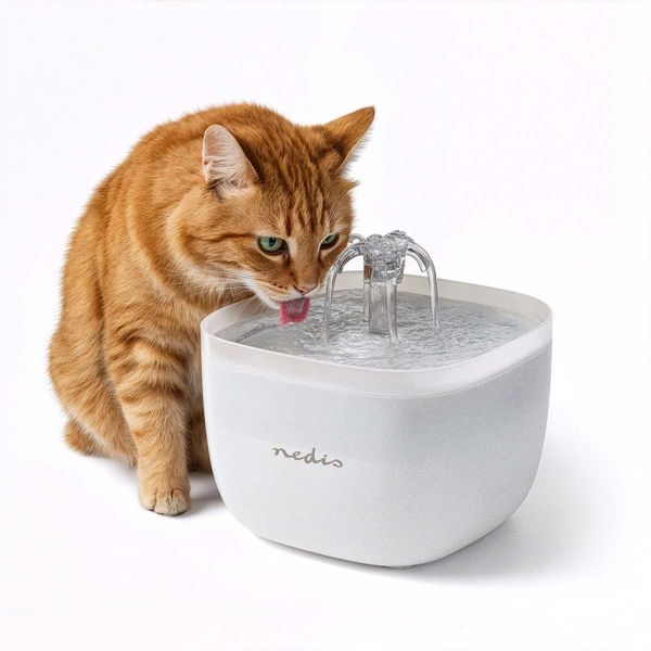 Hovedbilde Drikkefontene Til Katter Og Hunder 2 Liter