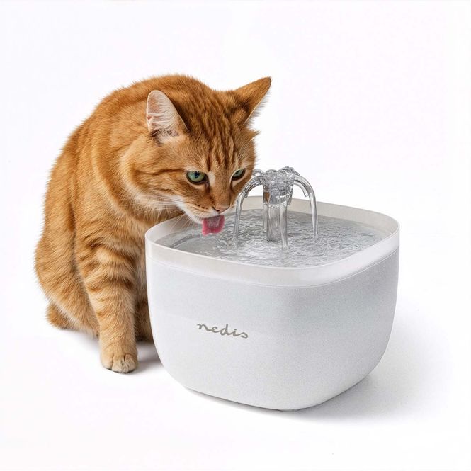 Hovedbilde Drikkefontene Til Katter Og Hunder 2 Liter