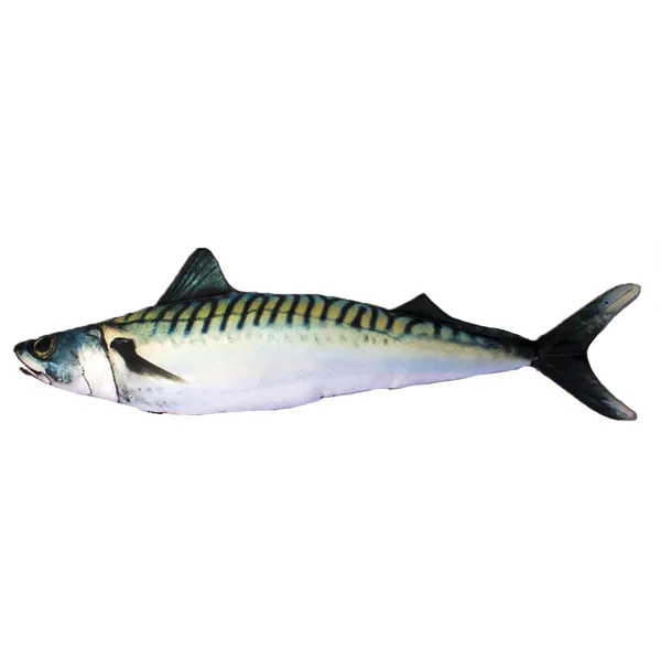 Hovedbilde Kosefisk - Pute - Makrell - 60 cm Scomber ...