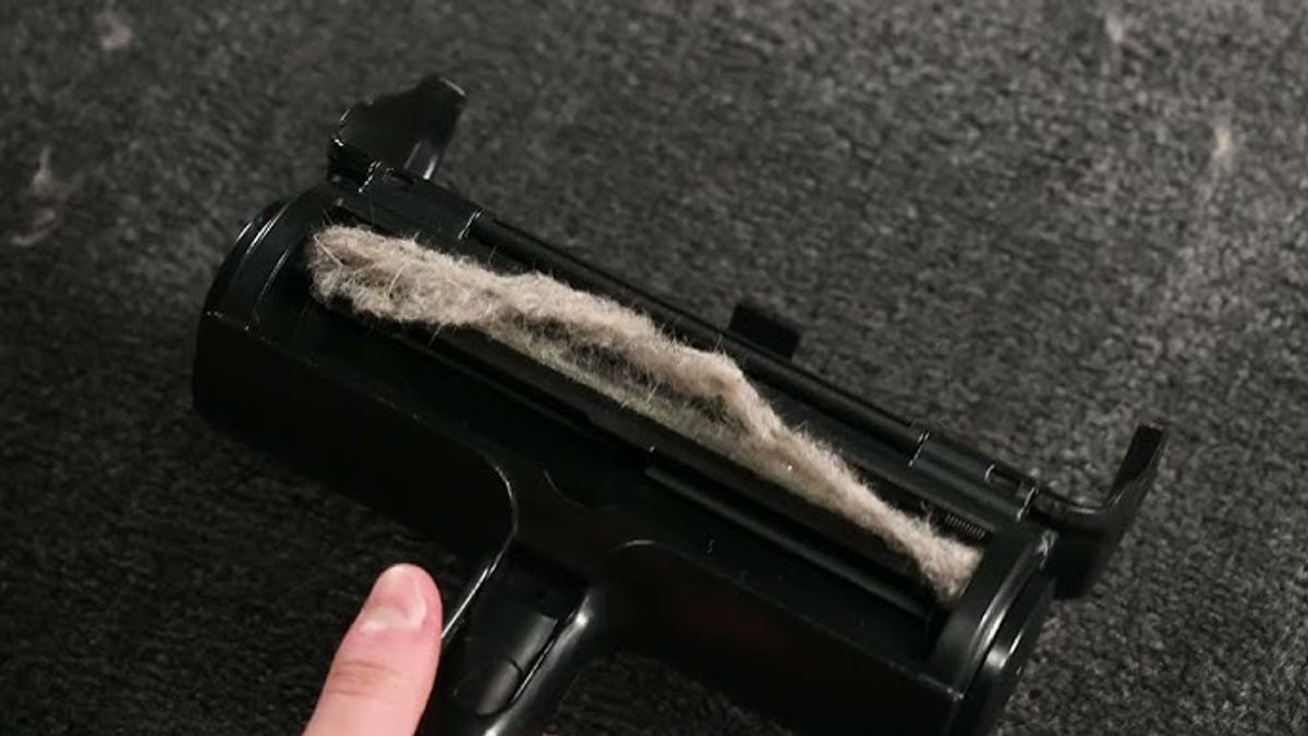 Hår og Lofjerner - For både klær og møbler