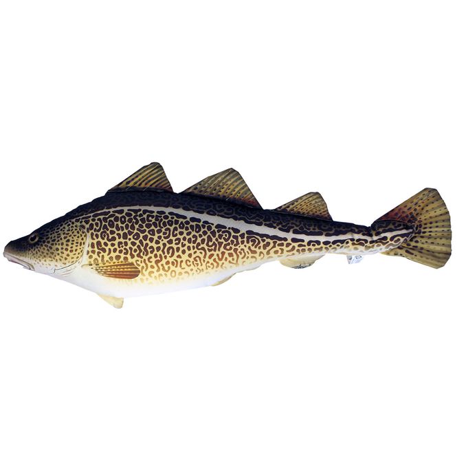 Hovedbilde Pute - Torsk - 75 cm Gadus Morhua
