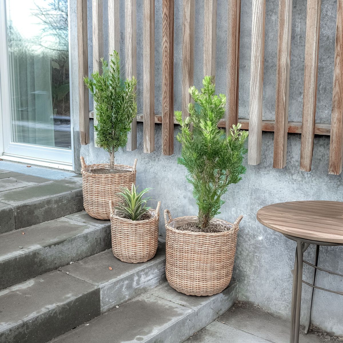 Blomsterpotter i Rotting 3 stk i pakke