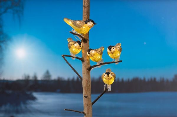 Hovedbilde Lysende Kjøttmeis -Led-Lys - IP44 for inne og ...